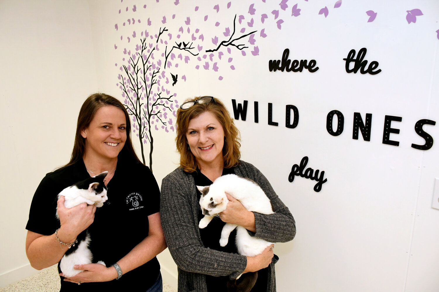 The 'purr-fect' hideaway: Twisted Whisker cat lounge 'meow' open